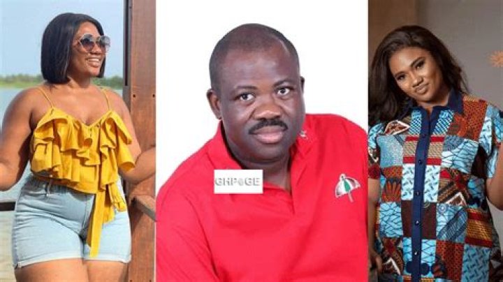 Abena Korkor Biography And Age: Twitter Video And Scandal