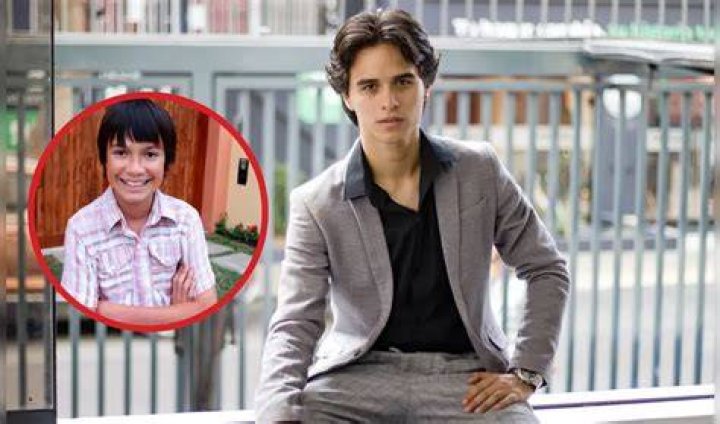 Brando Gallesi