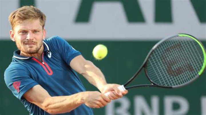 David Goffin