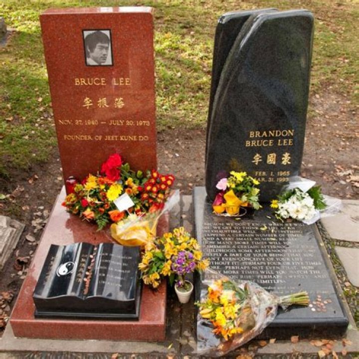 How Did Brandon Lee Die | Bruce Lee Son Cause Of Death Explained