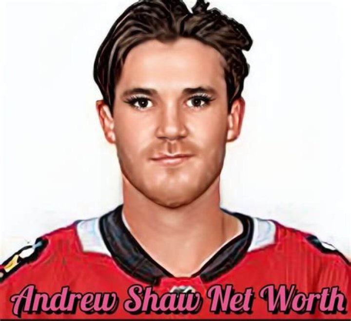 How Wealthy Is Former NFL Player Andrew Shaw Now That He Has Retired