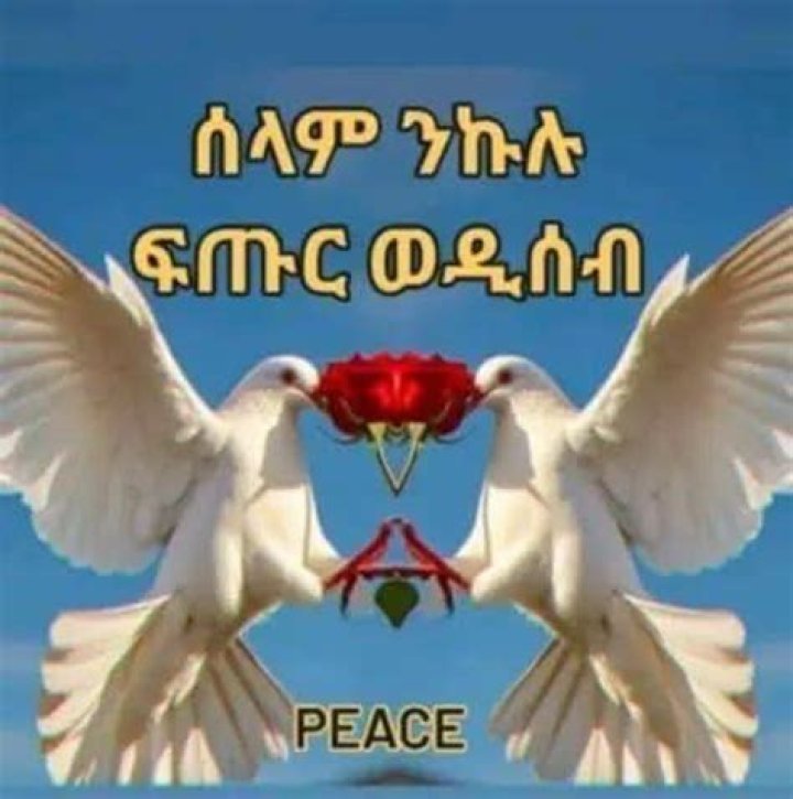 Selam Tesfaye
