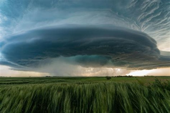 Storm Field