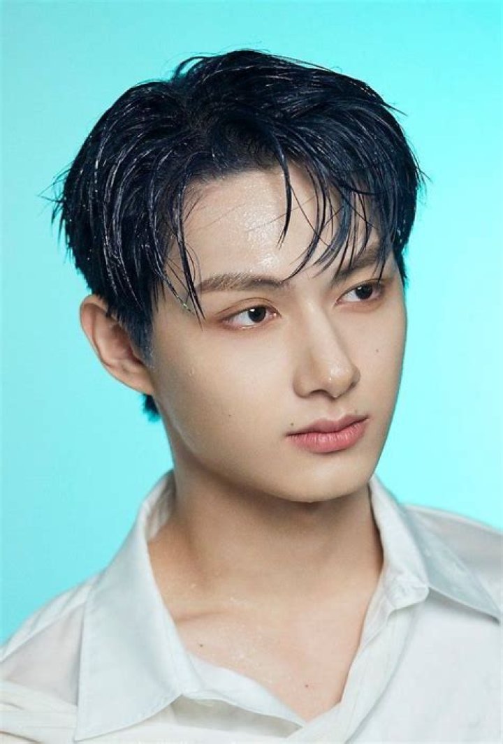 Wen Junhui